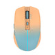 Inca IWM-511RT mus Kontor Højre hånd RF Wireless + Bluetooth + USB Type-C Optisk 1600 dpi