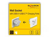 DeLOCK 11499 stikkontakt Type F + USB A + USB C Hvid