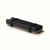 Axagon CLR-M2L10 Computerkølesystem M.2 NVMe SSD, Solid-state drev Køleplade/køler Sort 1 stk