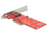 DeLOCK 89577 interface-kort/adapter Intern M.2