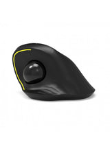 Port Designs 900719 mus Kontor Højre hånd RF trådløs + Bluetooth Optisk 1600 dpi