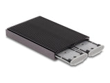 DeLOCK 42028 drevkabinet SSD kabinet Sort, Grå M.2