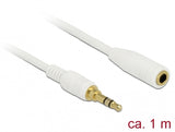 DeLOCK 85577 lydkabel 1 m 3.5mm Hvid