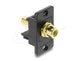DeLOCK 91113 kilesten modul