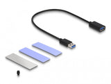 DeLOCK 42013 drevkabinet SSD kabinet Sort M.2