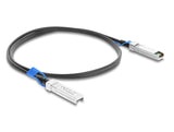 DeLOCK 84086 InfiniBand og fiberoptisk kabel 3 m SFP28 Twinax Sort