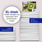 Epson Kiwi Singlepack Photo Black 202 Claria Premium Ink