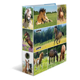 HERMA 19251 ringbind A4 Flerfarvet