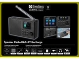 Sandberg 421-39 radio Bærbar Analog & digital Sort