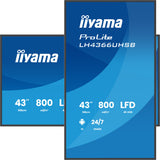 iiyama LH4366UHSB-B1AG skilte display Digital fladpaneldisplay 109,2 cm (43") LCD Wi-Fi 800 cd/m² 4K Ultra HD Sort Indbygget processer Android 24/7