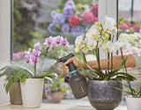 Gardena 11114-20 havesprøjte 1 L