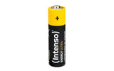 Intenso 7501824 husholdningsbatteri Engangsbatteri AA Alkaline