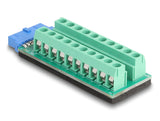DeLOCK 67191 kabel kønsskifter USB header - 19 pin Terminal block - 20 pin Sort, Grøn