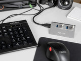 DeLOCK 64181 interface hub USB 3.2 Gen 2 (3.1 Gen 2) Type-A 10000 Mbit/s Grå