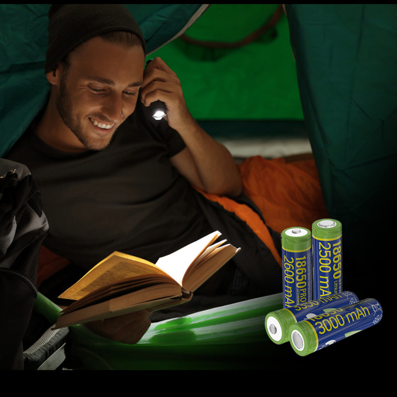 Gembird EG-BA-18650/2600 husholdningsbatteri Genopladeligt batteri Lithium-Ion (Li-Ion)