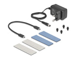 DeLOCK 42027 drevkabinet SSD kabinet Grå M.2