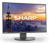 Sharp MultiSync EA242W computerskærm 61 cm (24") 1920 x 1200 pixel Fuld HD LCD Sort