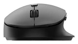 Philips SPK7607B/00 mus Kontor Højre hånd RF trådløs + Bluetooth Optisk 3200 dpi