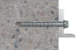Fischer 536855 skrue/bolt 100 mm 50 stk
