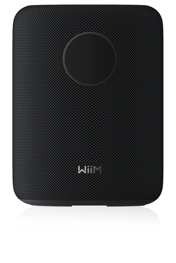 WiiM Sound 2-vejs Sort Kabel & trådløs 100 W