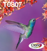 Epson Hummingbird Multipakke, 6-farve T0807 Claria Photographic Ink i brugervenlig postpakke