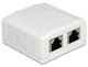 DeLOCK 86197 stikkontakt 2 x RJ-45 Hvid