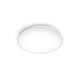 Philips Funktionel Moire loftslampe, 6 W