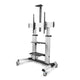 StarTech.com 1110C-MOBILE-TV-CART tv-beslag 2,54 m (100") Sort, Sølv