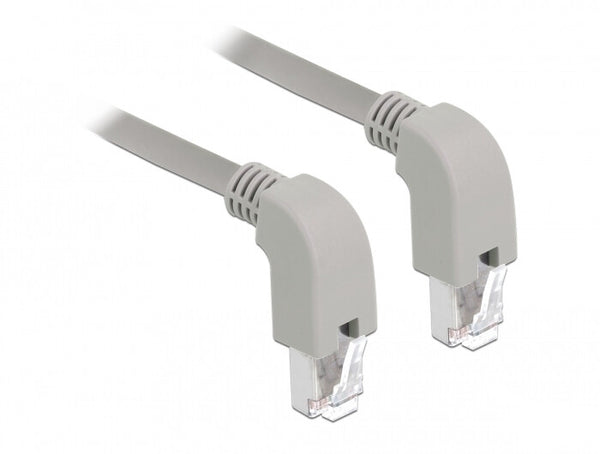 DeLOCK 85877 netværkskabel Grå 1 m Cat6a S/FTP (S-STP)
