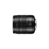 Panasonic LUMIX G VARIO Sort