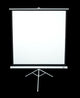 Elite Screens Tripod projektorlærred 180,3 cm (71") 1:1