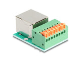 DeLOCK 90652 kabel kønsskifter RJ45 8 pin terminal block Grøn, Sølv