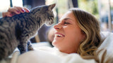 Philips 5000 series Pet Series Smart-foderautomat med kamera (PAW5320/02)