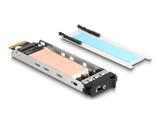 DeLOCK 47028 interface-kort/adapter Intern M.2