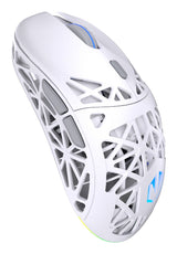 ENDORFY LIV Plus Wireless Onyx White mus Spil Ambidextrous Bluetooth Optisk 26000 dpi