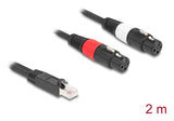 DeLOCK 88176 lydkabel 2 m RJ-45 2 x XLR (3-pin) Sort