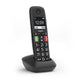Gigaset E290HX Analog/DECT-telefon Nummervisning Sort