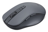 Lenovo WL310 mus Kontor Ambidextrous Bluetooth Optisk 1200 dpi