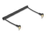 DeLOCK 85777 lydkabel 0,75 m 3.5mm Sort