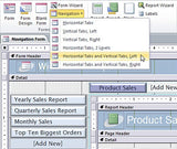 Microsoft Access 2010, OLV-NL Database