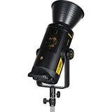 Godox FV200 flashenhed til fotostudie 1/8000 sek./side Sort