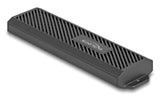 DeLOCK 42031 drevkabinet SSD kabinet Sort M.2