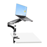 StarTech.com ARMUNONB1 laptop stativ Laptop & skærmarm Sort