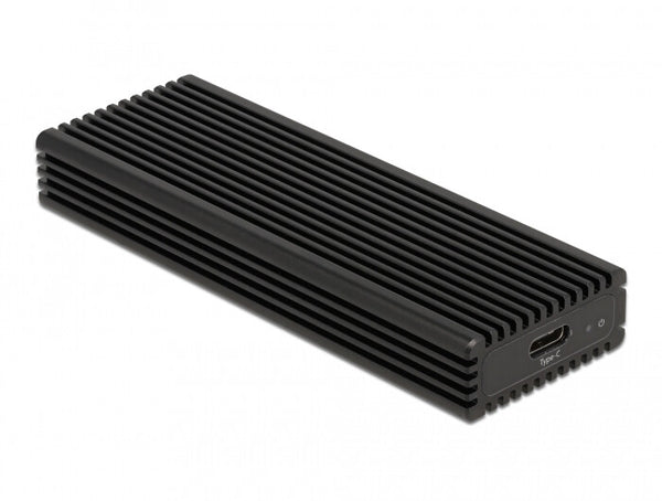 DeLOCK 42004 drevkabinet SSD kabinet Sort M.2