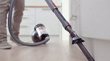Dyson Big Ball Absolute 2 Beholder vakuum Dry