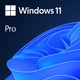 Microsoft Windows 11 Pro High-End 1 licens(er)