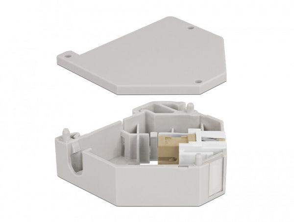 DeLOCK 87167 kilesten modul