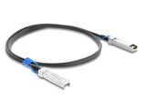 DeLOCK 84084 InfiniBand og fiberoptisk kabel 2 m SFP28 Twinax Sort