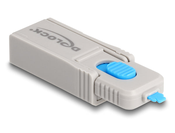 DeLOCK 20969 portblokering Portlås DisplayPort, HDMI, USB Type-A, USB Type-C Grå Plast 1 stk