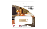 Kingston Technology DataTraveler 256 GB 220 MB/s Metal USB 3.2 Gen 1 SE9 G3